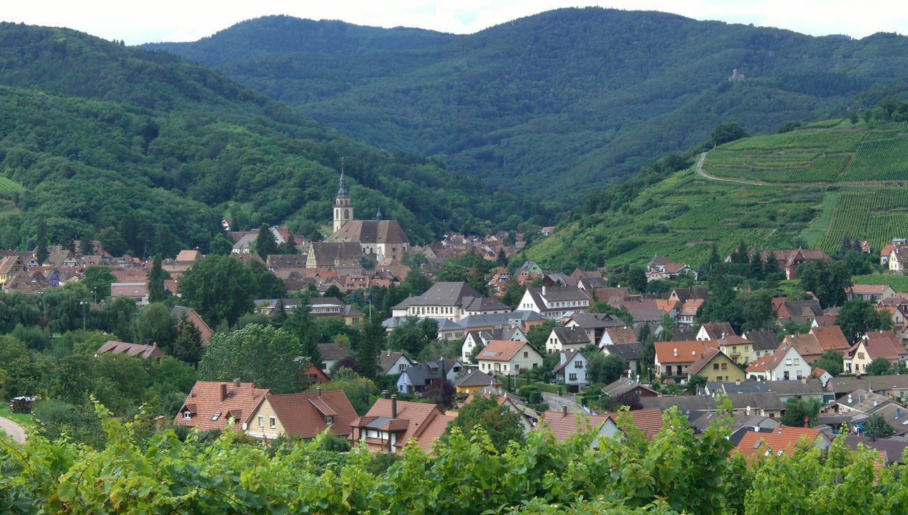 Vue sur Andlau, ses vignes et les Vosges