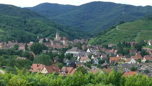 Le village d'Andlau entouré de vignes